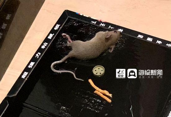 海報新聞