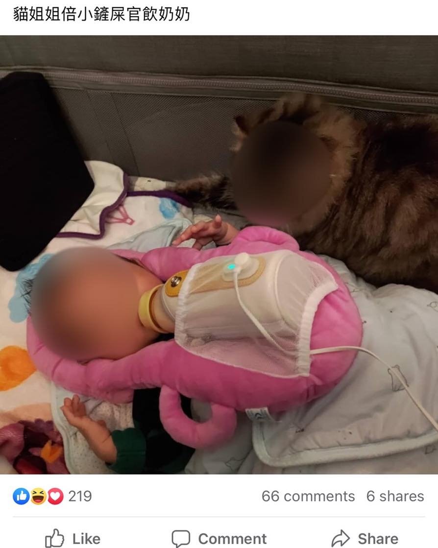 《生仔要考牌系列》