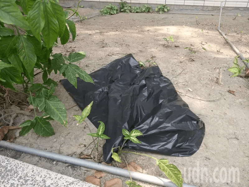 翻攝自聯合新聞網