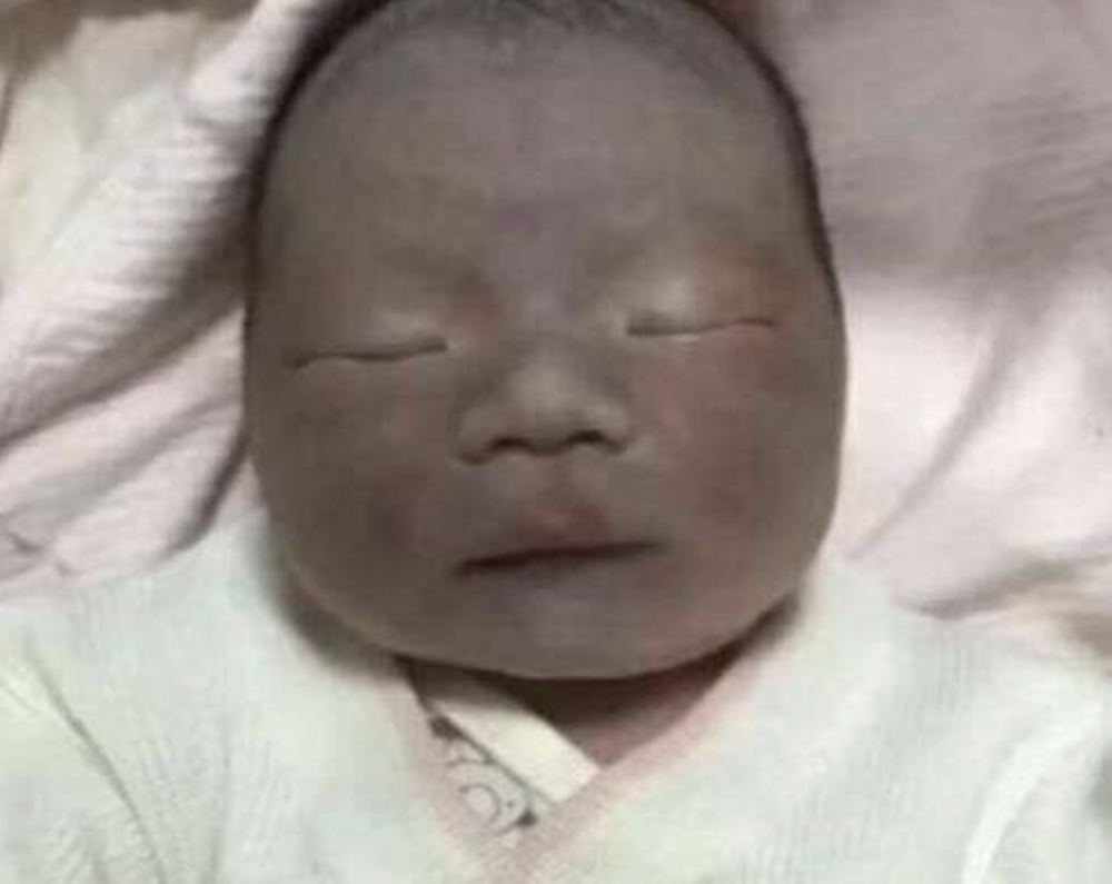 楠木軒新聞