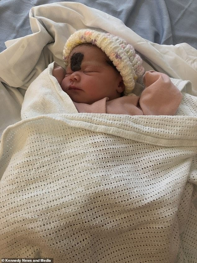 翻攝自 Daily Mail