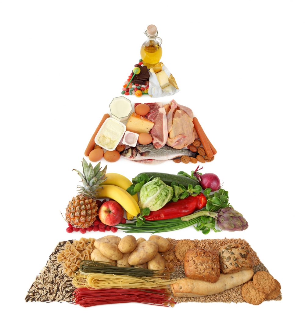 依據「健康飲食金字塔」搭配每日食物分量，做到營養和減脂兩不誤