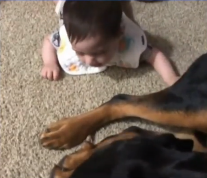 翻攝自《Fox News》