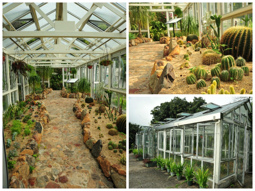 嘉道理農場暨植物園郊遊2021