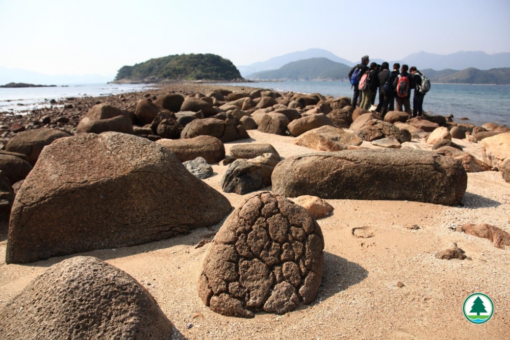 親子行山樂 橋咀洲地質步道