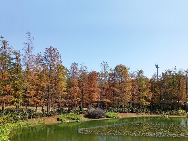 青衣公園郊遊2021