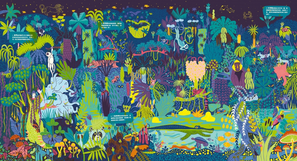 兒童繪本推薦《夜光找一找：不可思議的雨林大探索》
