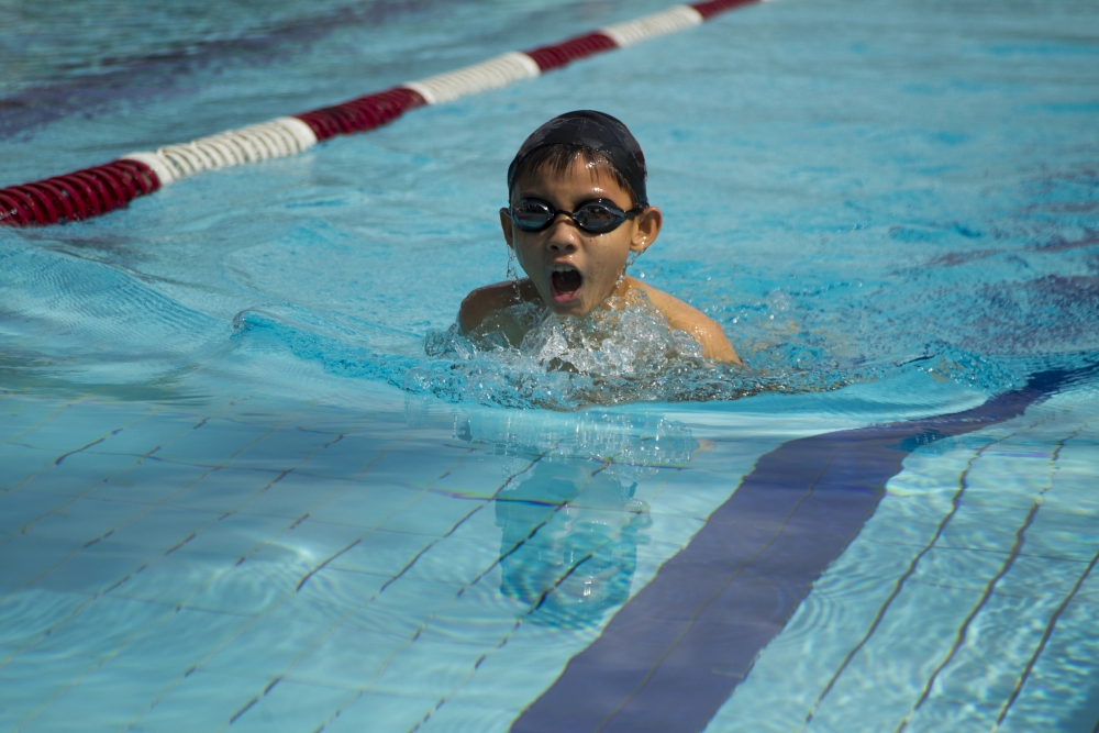 swim