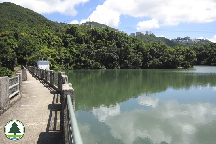 香港仔郊野公園 郊遊2021