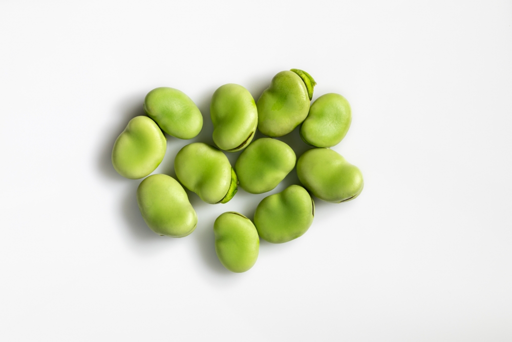 蠶豆症患者避免進食蠶豆及其製成品：例如含蠶豆成份的粉絲、雜錦豆