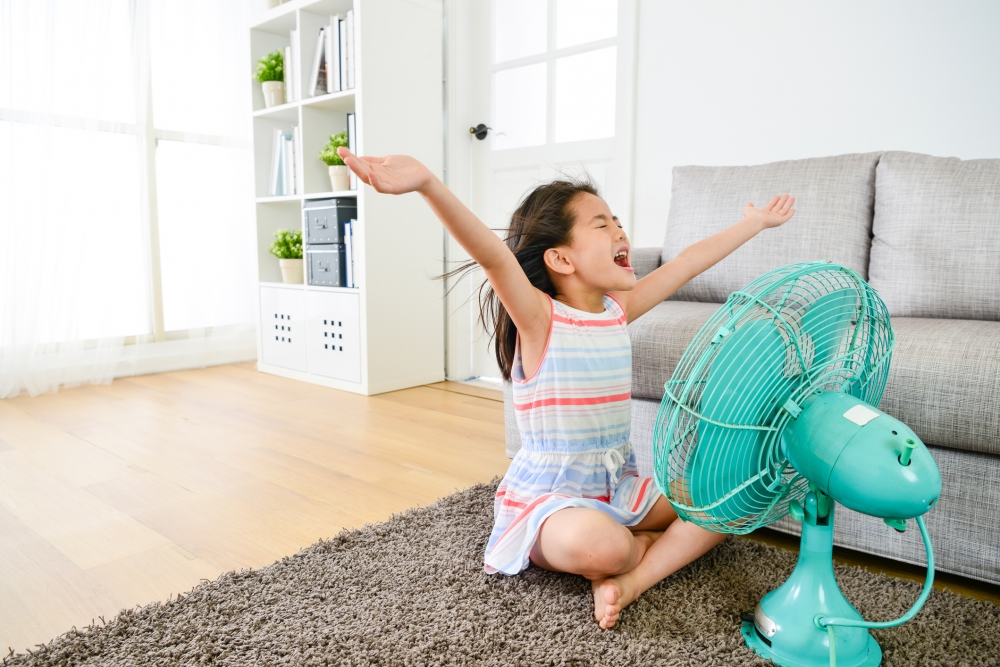 fan