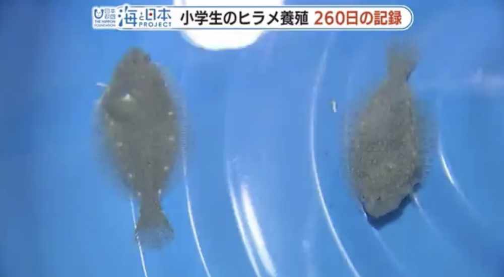 翻攝自 FNN News