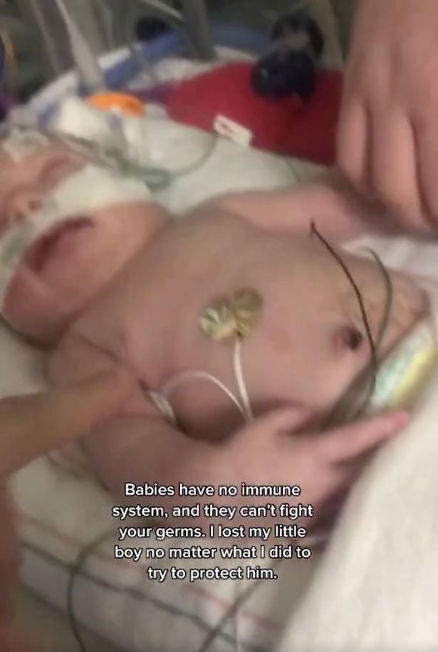 翻攝自《Mirror》