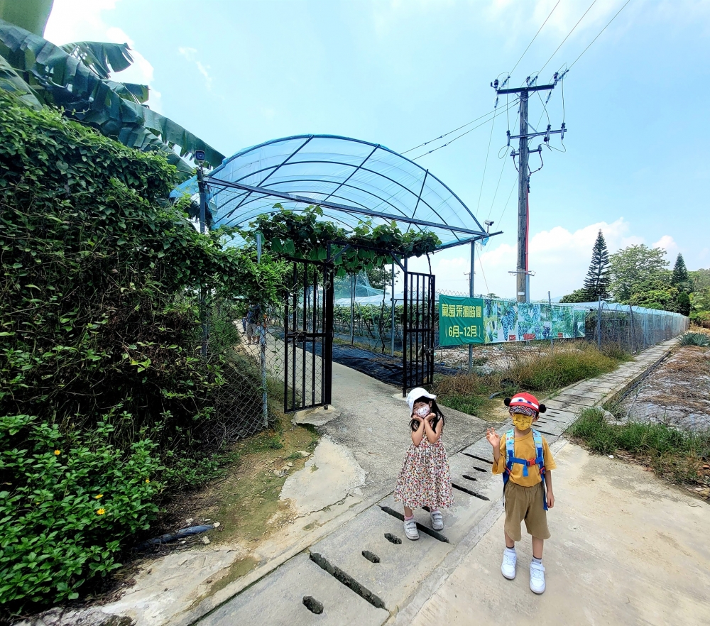 222555580_553996262700932_1820919572061205710_n