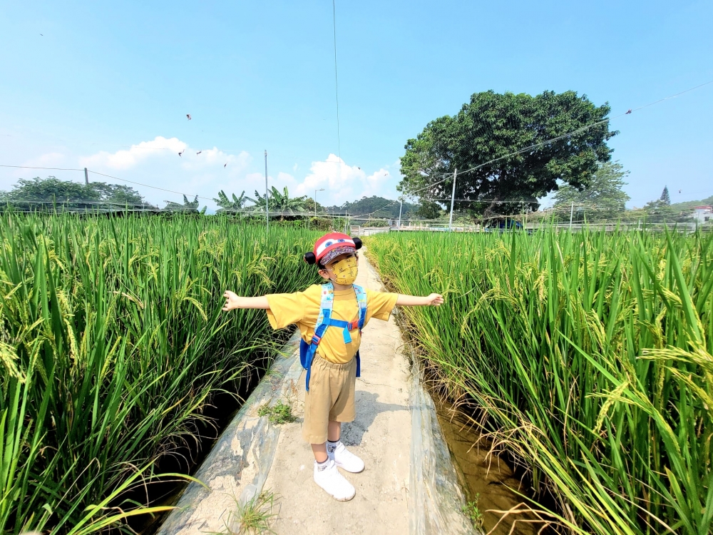 228296208_553993279367897_6344715586087841295_n