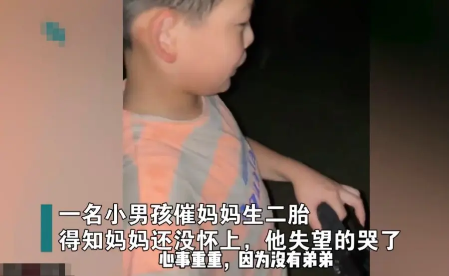 兒子從小便希望能有個弟妹陪伴自己，甚至願意將99%的財產留給弟妹。