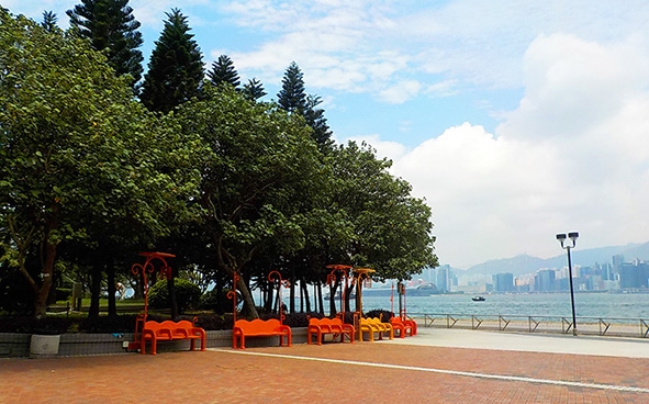 單車徑及單車公園2021-鰂魚涌公園