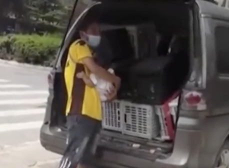 在河南鄭州有一對父母竟把BB當作包裹般由速遞員運送