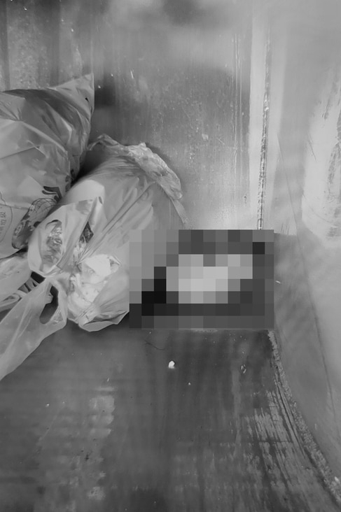 翻攝自《蘋果新聞網》