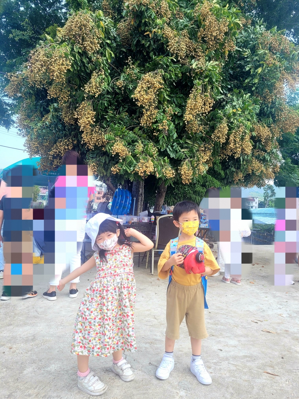 226206387_553994062701152_303575482452307993_n