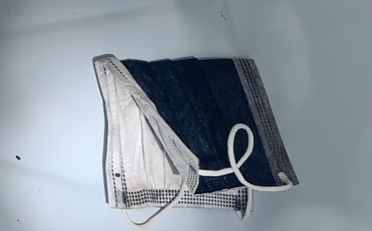 翻攝自《蘋果新聞網》