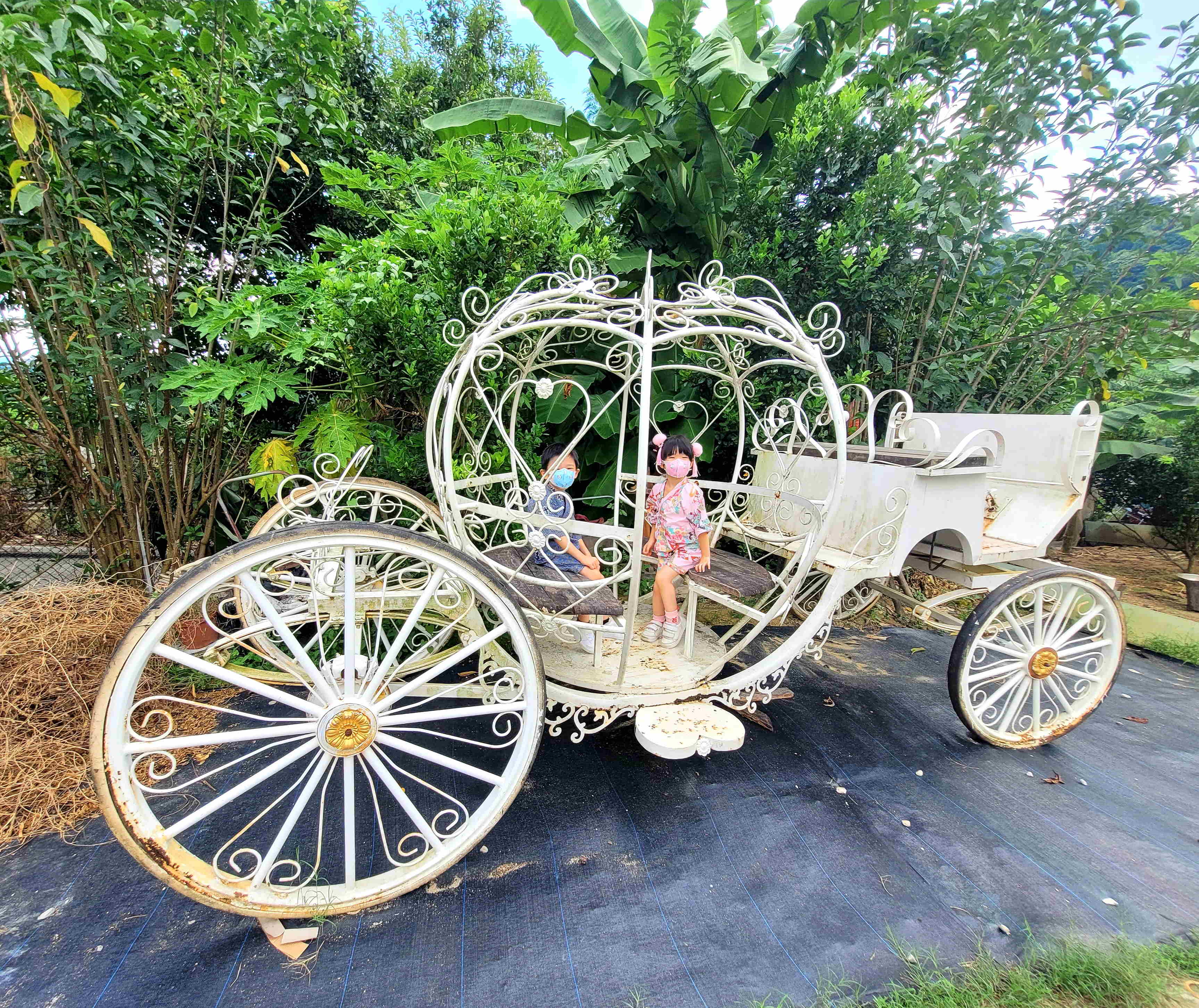 只係放天燈時同埋掘芋頭時較曬,記得帶備防蚊和防曬用品。