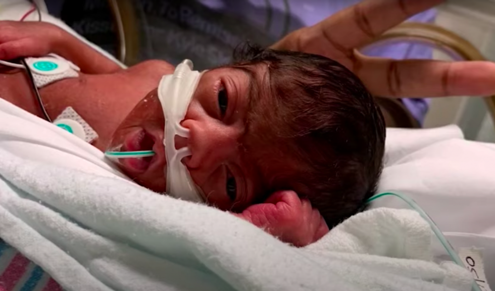 豈料Imani一開口提請假,教授便說不批准。