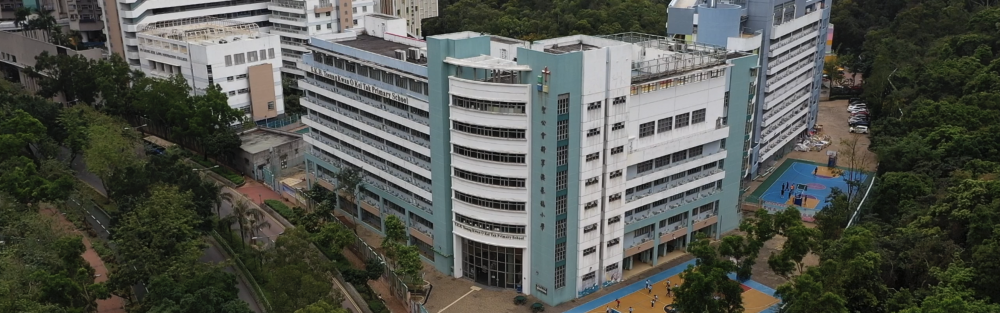 聖公會將軍澳基德小學位於95校網