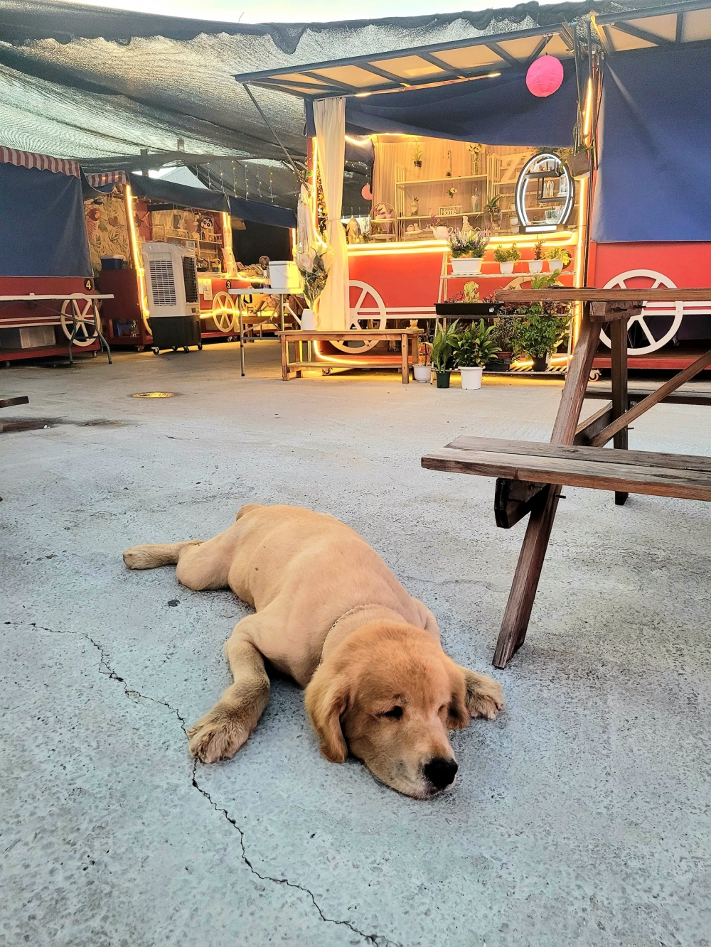 錦莆手工藝市集，適合小朋友參與