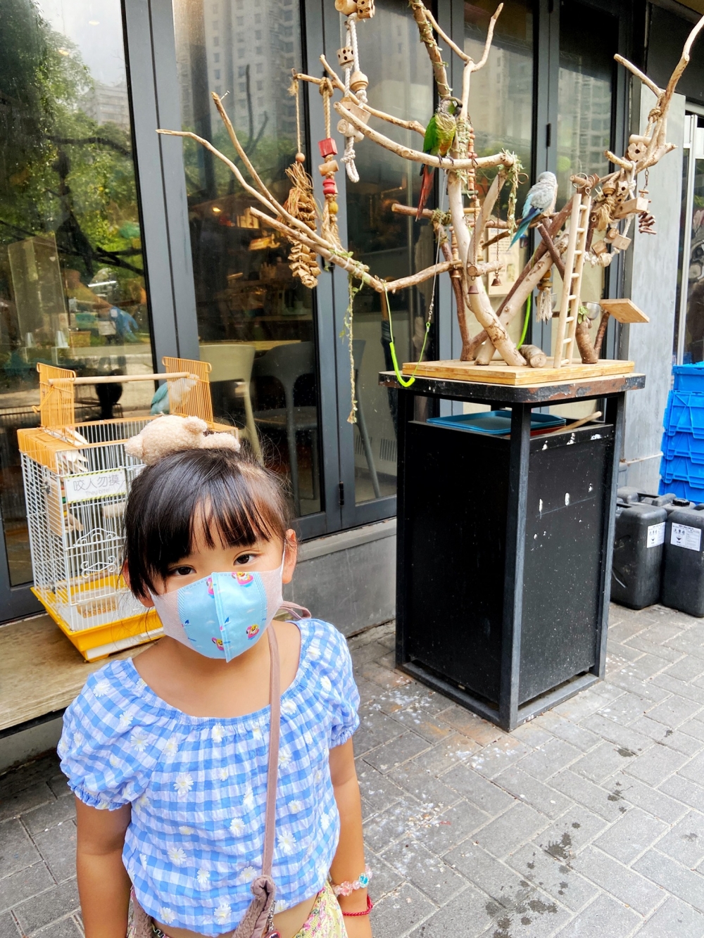 薯仔屋電影餐廳有飼養不少鸚鵡。