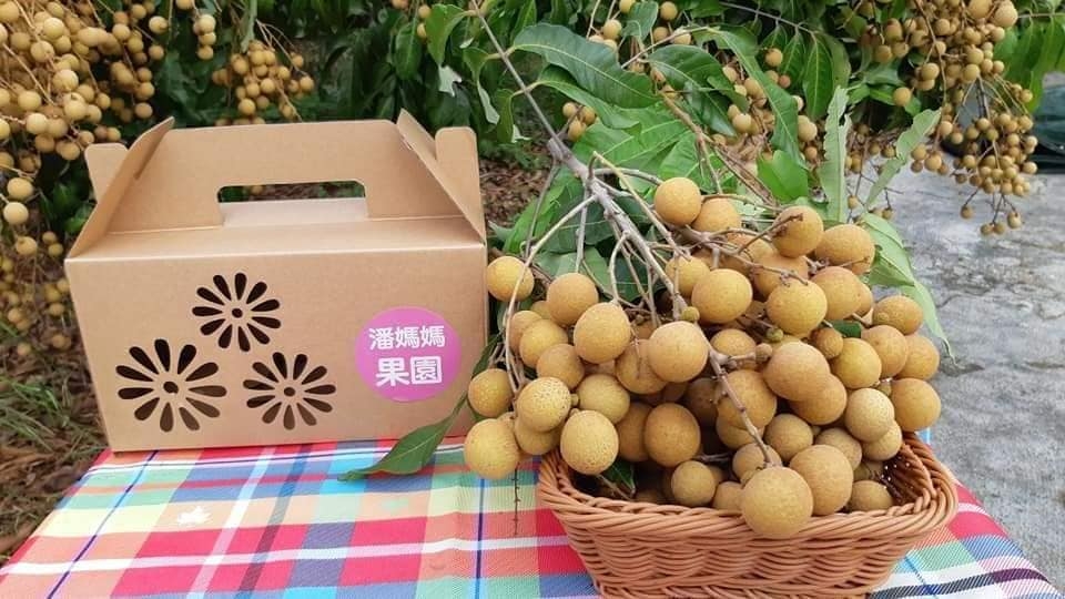 潘媽媽果園生產的龍眼。