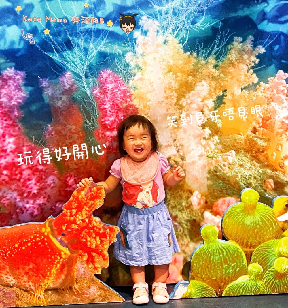 獅子會自然教育中心有5大展區。