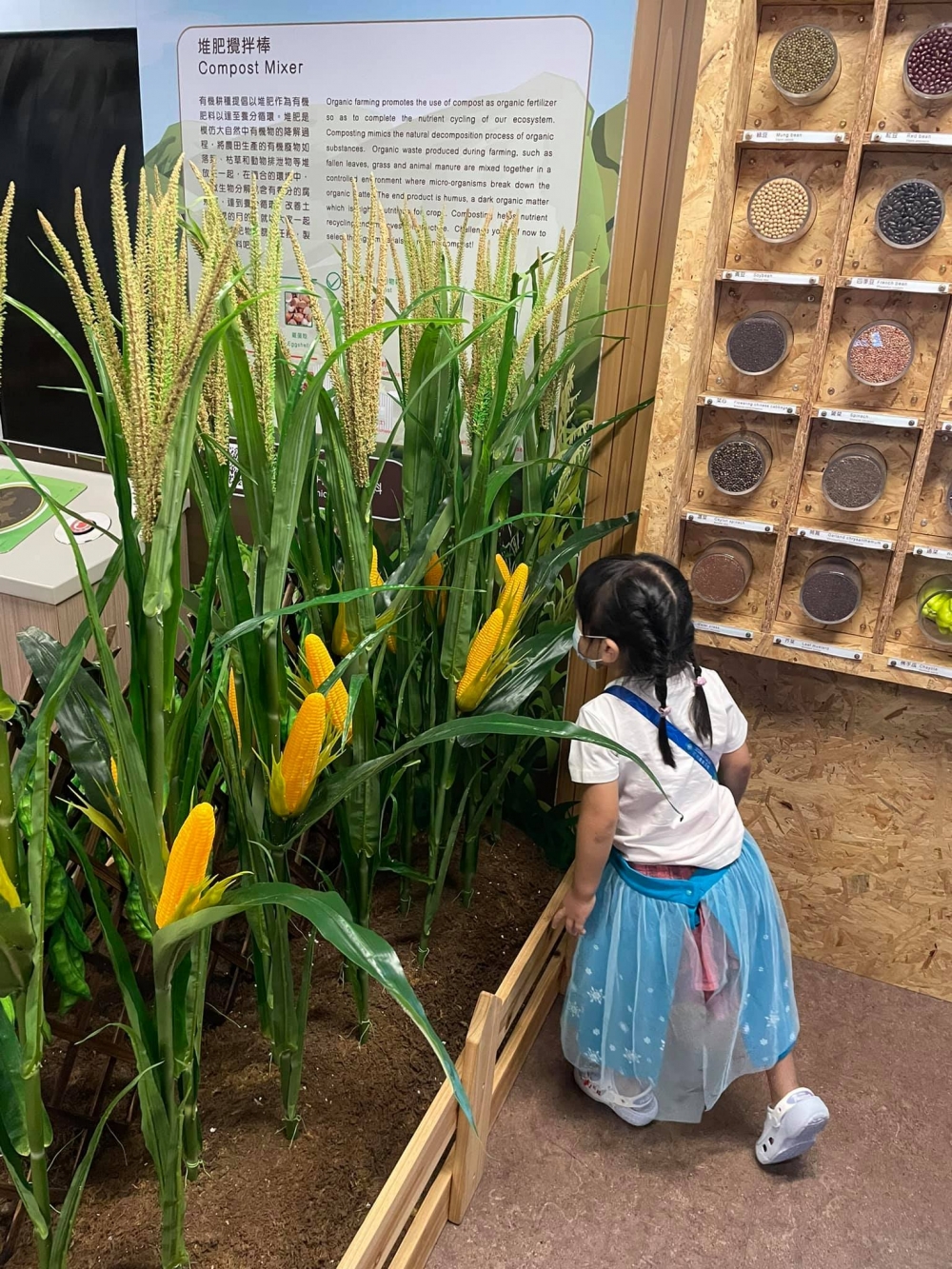種子基因庫 (種子標本及講解) 展示不同種類作物的種子。