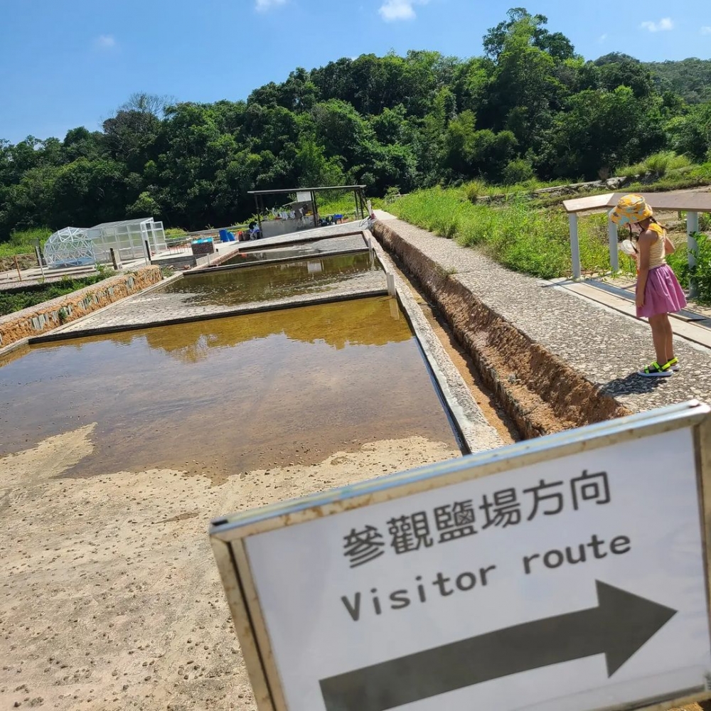 西貢鹽田梓村已荒廢的鹽田。