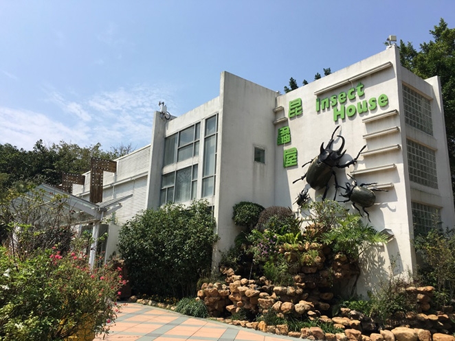 位於大埔海濱公園裡的免費昆蟲屋。