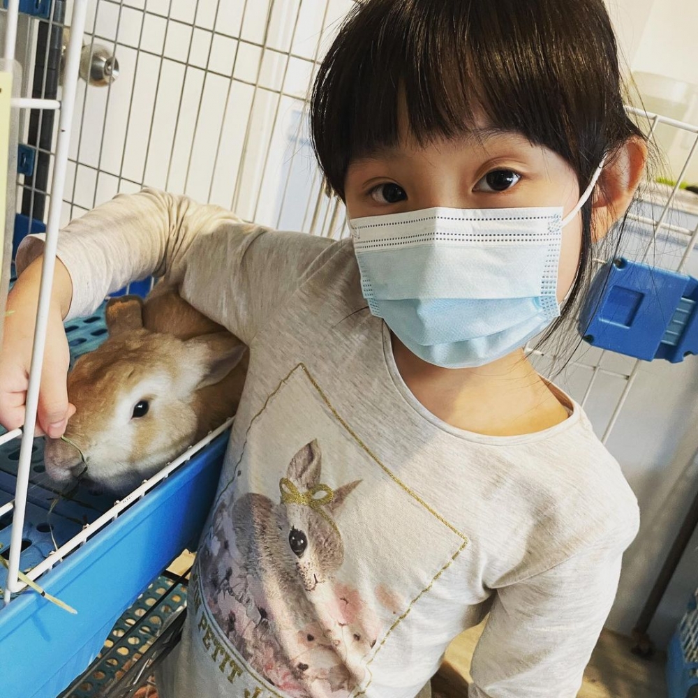 小朋友在Rabbitland cafe與兔子合影。