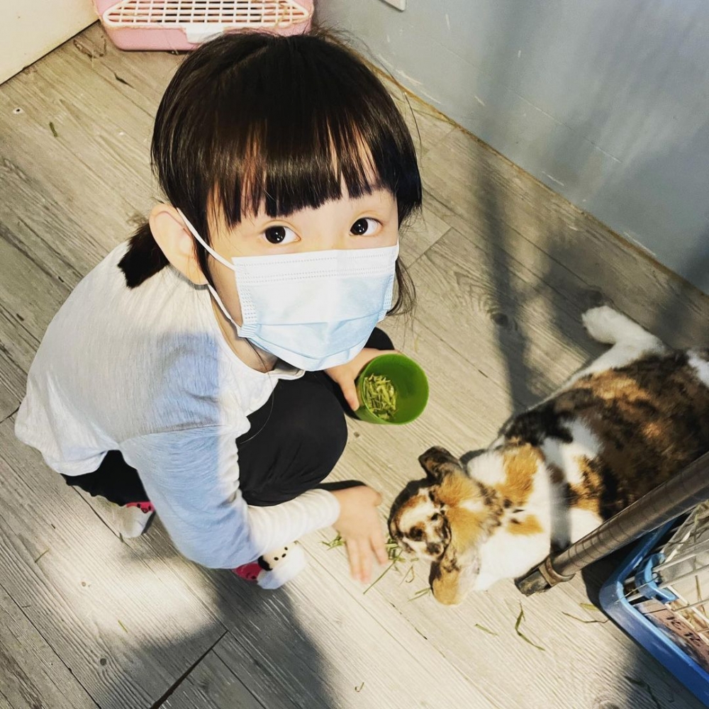 小朋友在Rabbitland cafe餵食兔子。