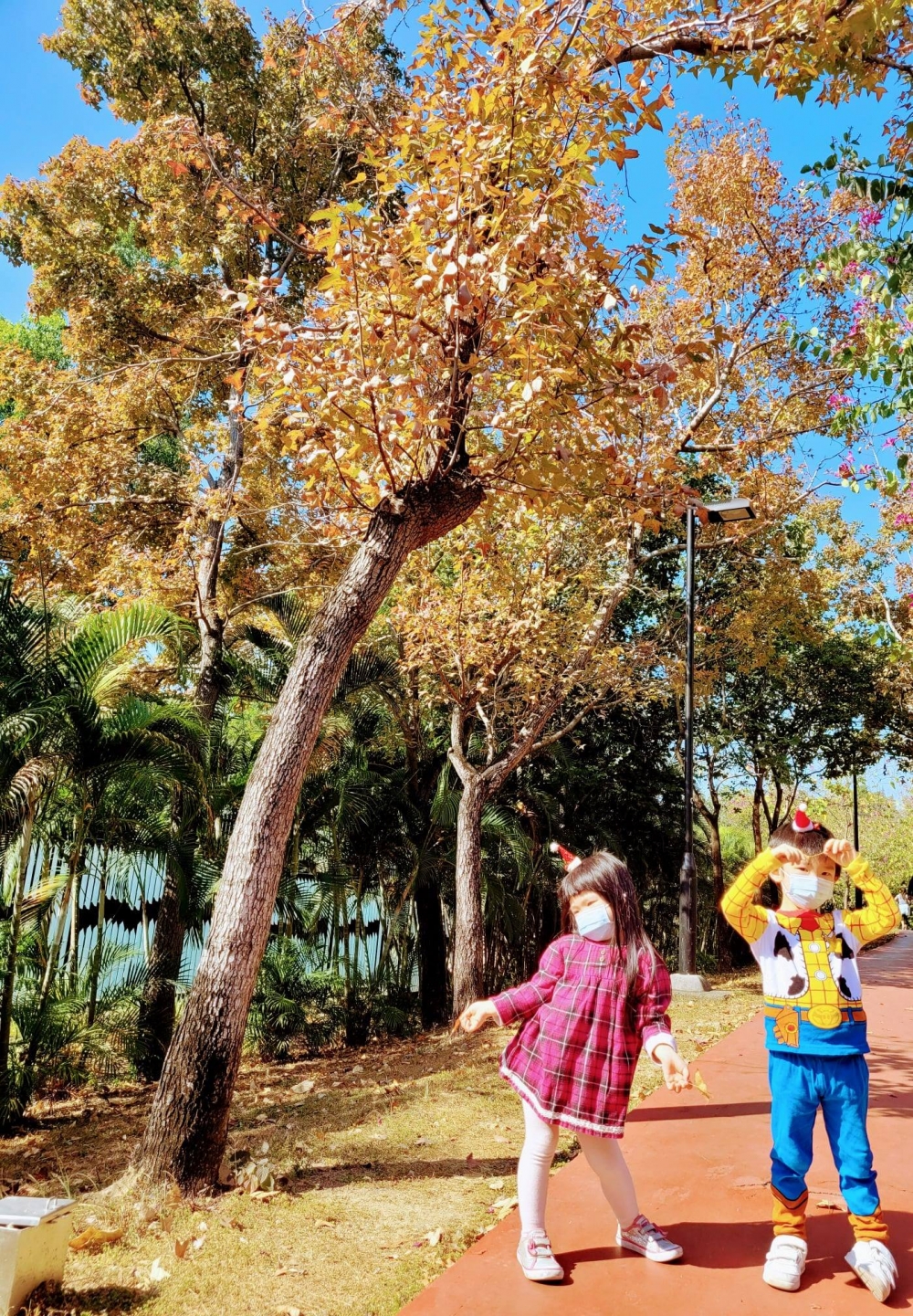 賞楓好去處之荔枝角公園。在湖景的襯托下,湖邊的紅色楓葉顯得更加動人。