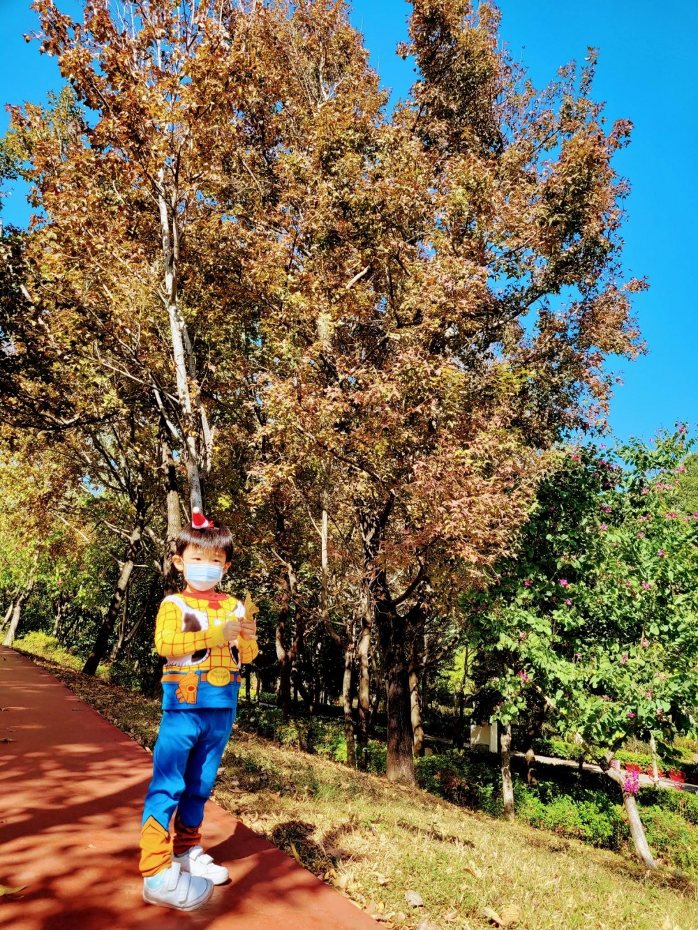 賞楓好去處之荔枝角公園，每年約11月開始，湖邊或其他散落的楓樹葉子就會開始轉黃。