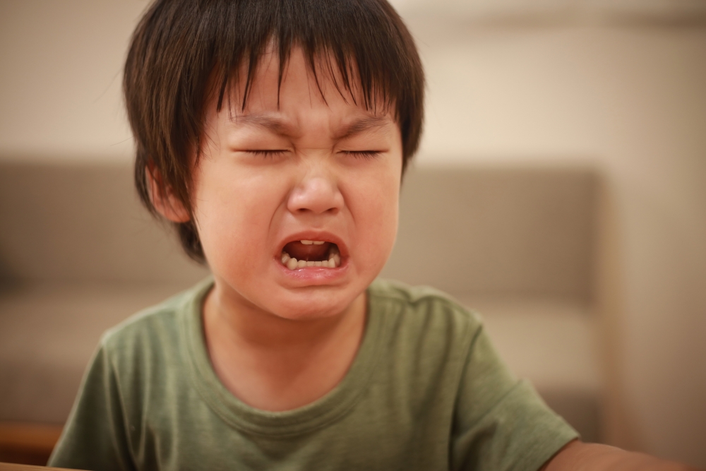 自閉症的姪仔今年5歲,但就尚未懂得說話,受到驚嚇時會突然尖叫。