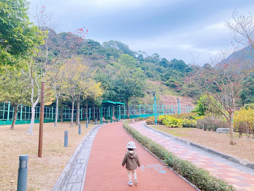 賞楓好去處之佐敦谷公園,小朋友還可以放電。
