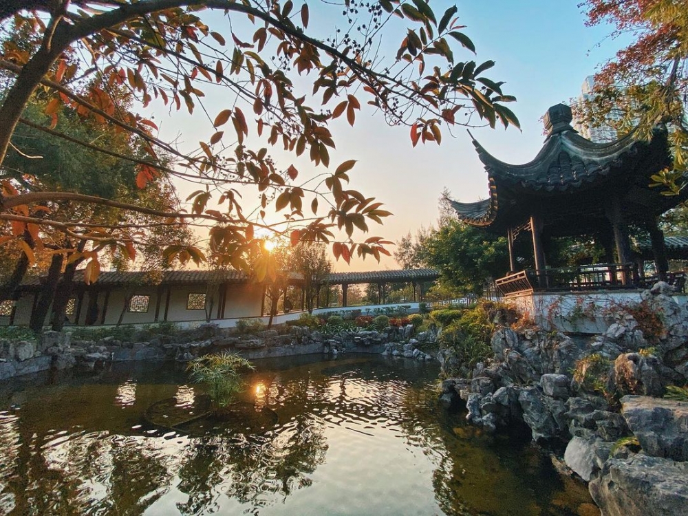賞楓好去處之九龍寨城公園。