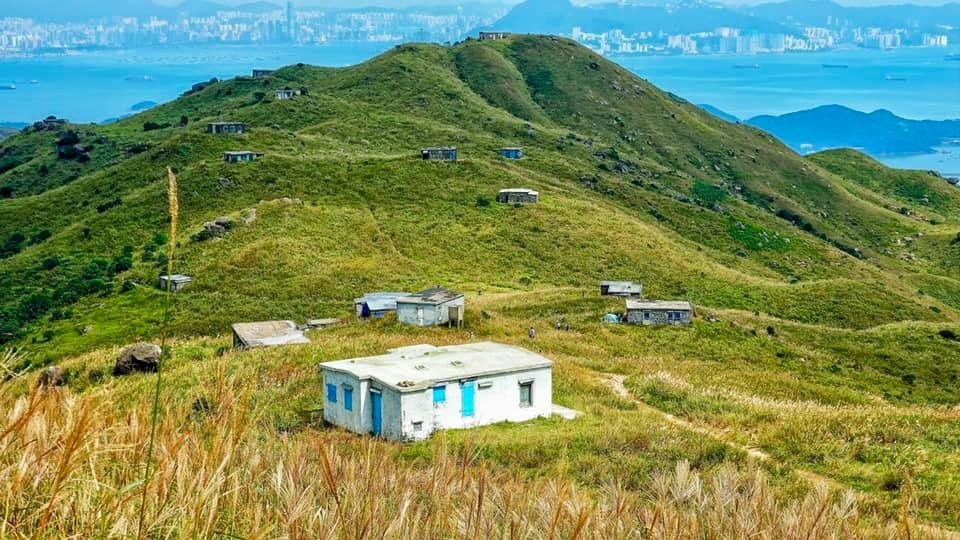 到大東山看芒草看牛牛、再到石屋探秘。