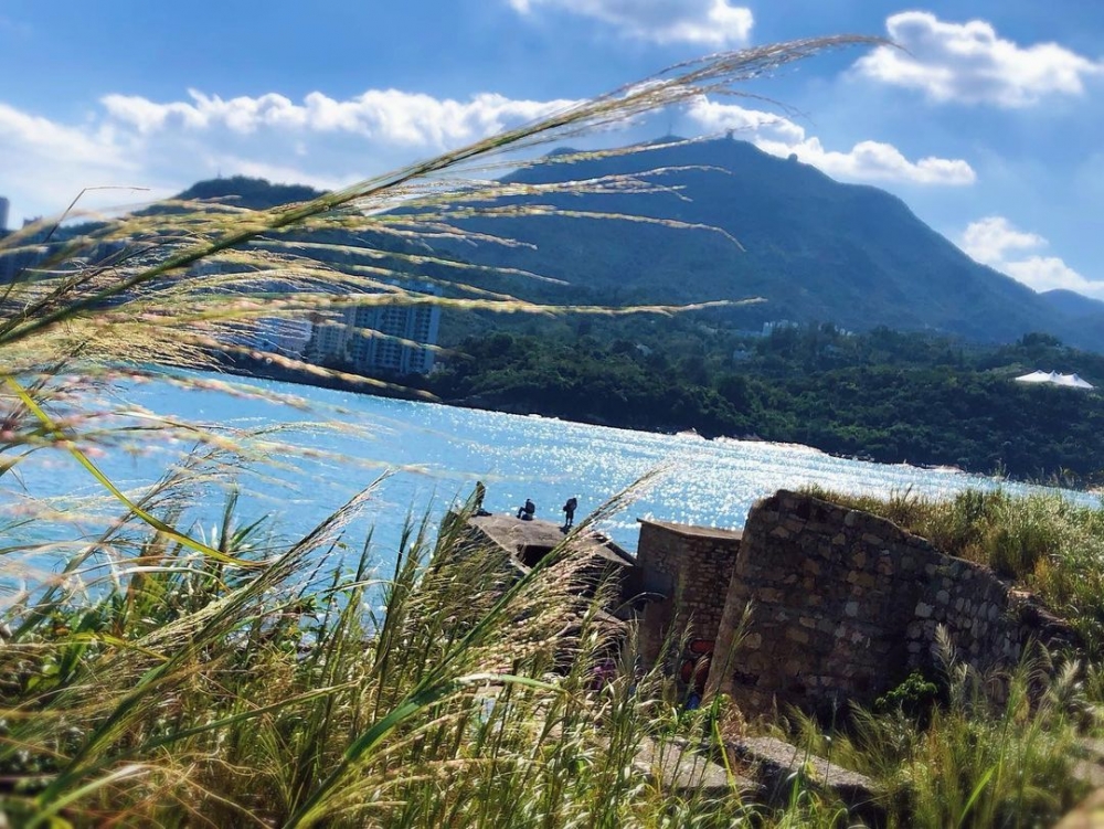 鯉魚門石礦場的蘆葦田配上海景,相當唯美。