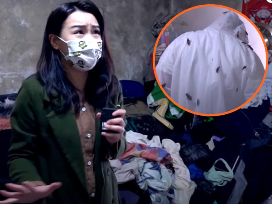 《東張西望》主持人黃穎君發文分享採訪「曱甴屋」感受。
