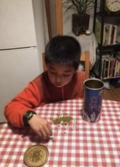 有位爸爸因小學三年級兒子「帶一萬粒黃豆回校」的功課而非常苦惱,被考起的他覺得這份功課既費時又沒意義。