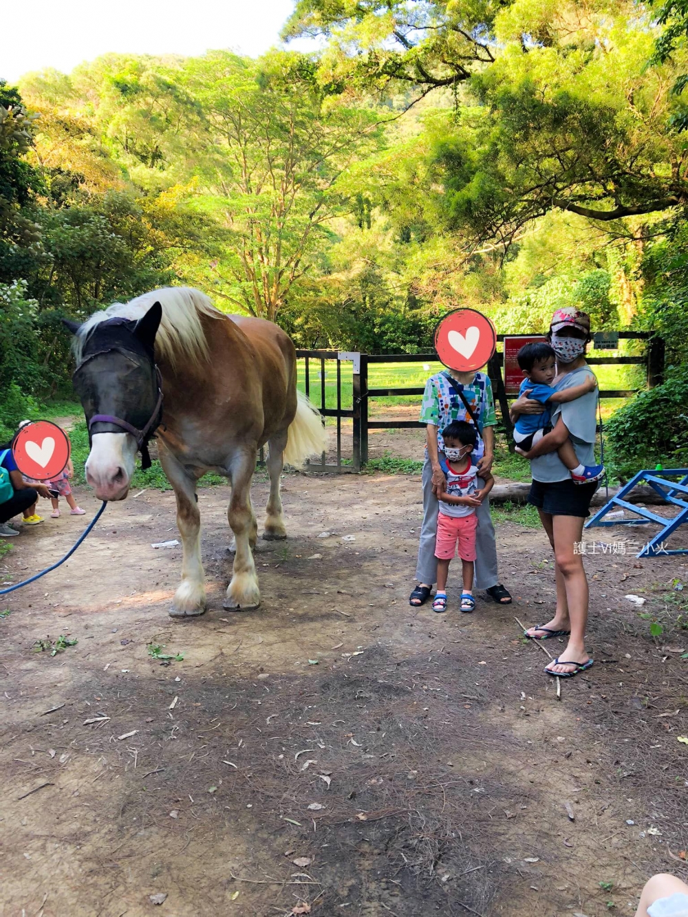 好大的駿馬!