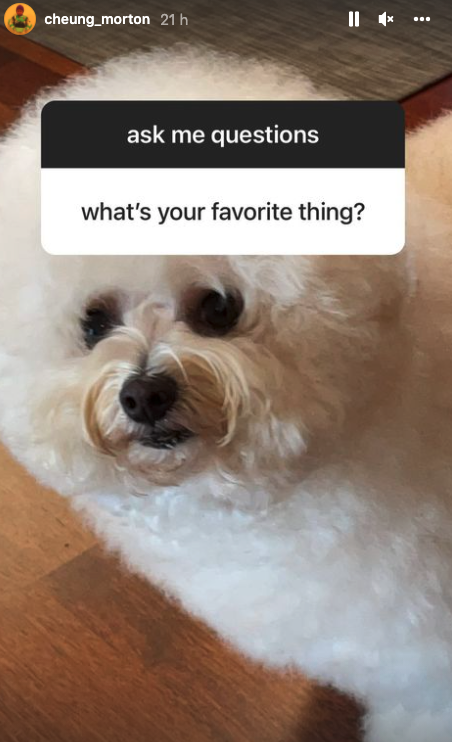 活動吸引大量網民向魔童發問。