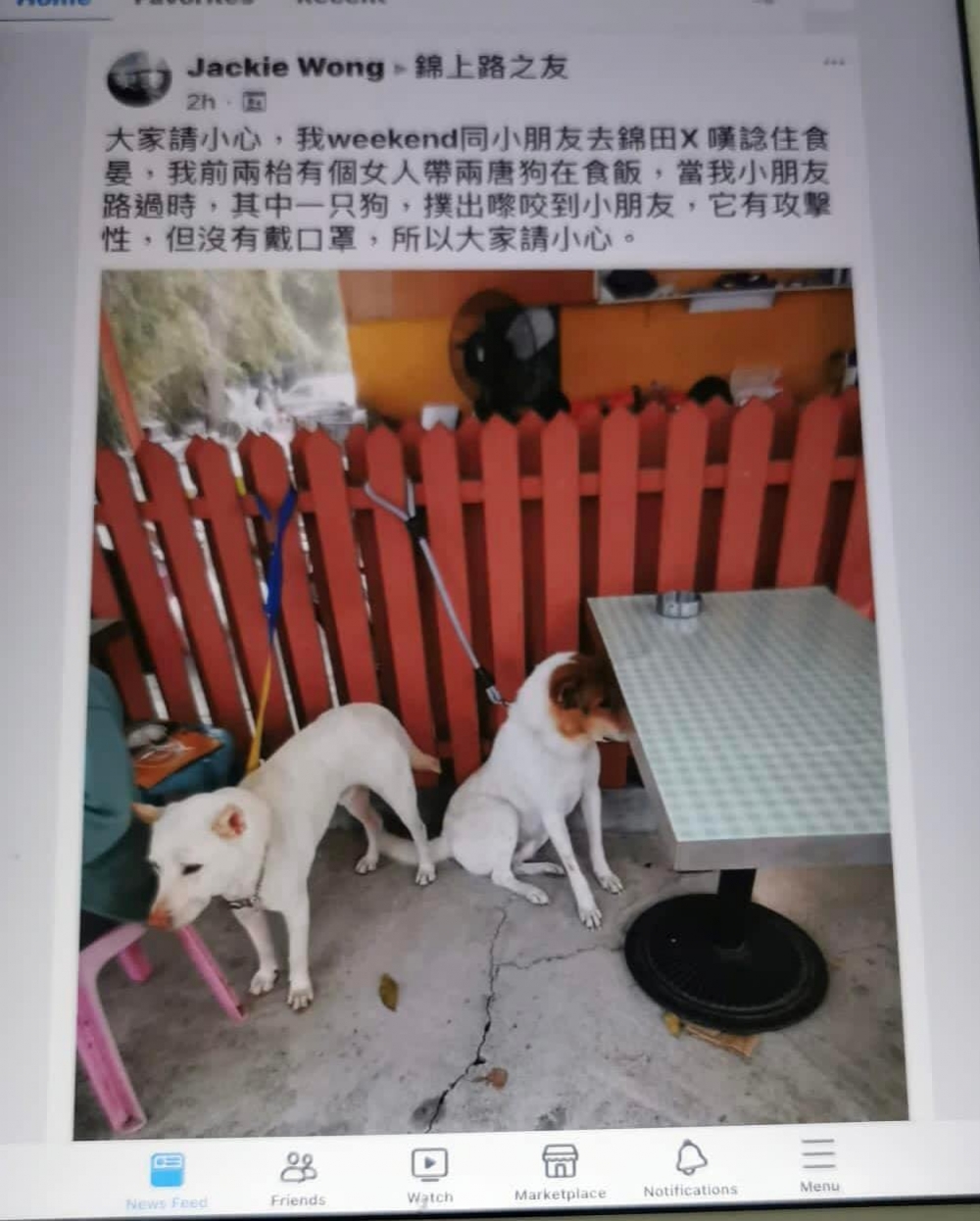 港媽在網上公審涉事犬隻和狗主。