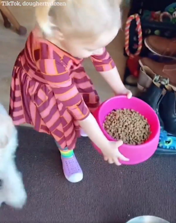 3歲小女兒會餵狗、遛狗、打掃浴室等。